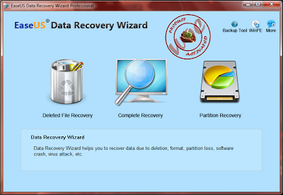 data recovery wizard professional full